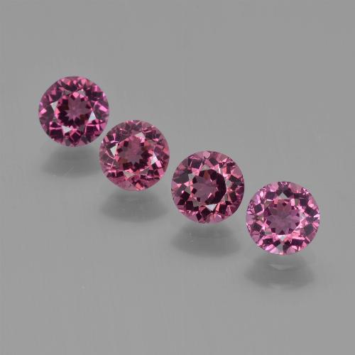 Lotto di 4 pezzi taglio rotondo viola Granato di rodolite dal Mozambico - Peso totale 2,43 ct / avg. 0,61 ct ciascuno, dimensioni 5,1mm, colore: Viola medio-scuro, durezza Mohs 6,5 - 7,5 adatto per gioielli da indossare ogni giorno, Photo A