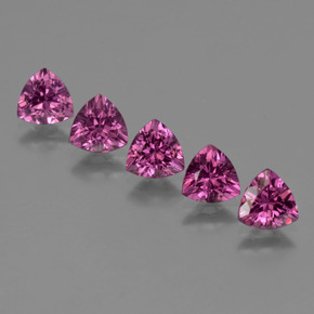 2.77 ctw Pink Rhodolite Garnet Gemstones, Rhodolite Garnet Gems in Trillion Facet Shape for Sale.