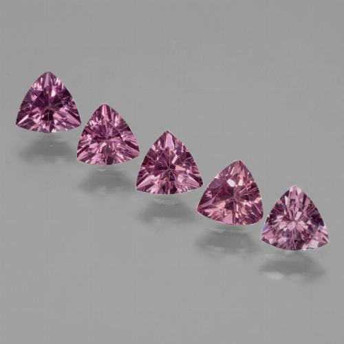 Rapberry Red Purple Rhodolite Garnet Gem - 0.5ct Trillion Facet (ID: 432352)