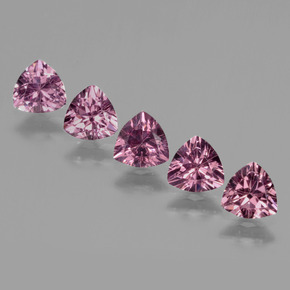 2.69 ctw Pink Rhodolite Garnet Gemstones, Rhodolite Garnet Gems in Trillion Facet Shape for Sale.