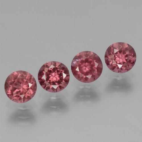 4 Stück runder rosa Rhodolit-Granat Set aus Tansania - Gewicht 2,65 ct total / Durchschn. je 0,66 ct, Größe 5,1mm, Farbe: Tiefes heißes Pink, Mohs-Härte 6,5 - 7,5 Geeignet für den täglichen Gebrauch im Schmuck, Photo A