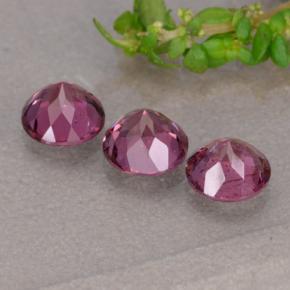 Rhodolite Garnet Gemstones in 5 mm (calibrated) Size for Sale, Rhodolite Garnet Stones in Medium Purple Color