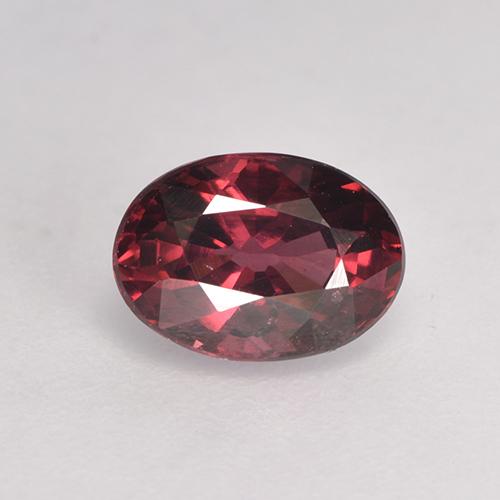 Rojo oscuro Granate Rodolita Gema - 1.2ct Forma ovalada (ID: 526894)