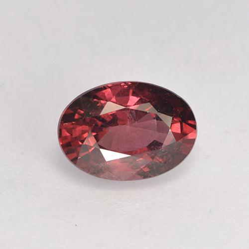 Rojo oscuro Granate Rodolita Gema - 1.1ct Forma ovalada (ID: 526904)