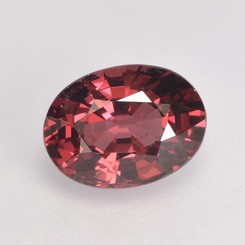 Rojo oscuro Granate Rodolita Gema - 1.2ct Forma ovalada (ID: 527906)