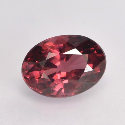 Rojo púrpura Granate Rodolita Gema - 1.2ct Forma ovalada (ID: 527910)
