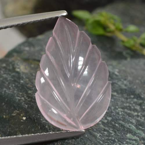 Light Pink Rose Quartz Gem - 4.3ct Fantasy Carved Leaf (ID: 474479)