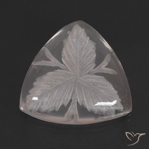 10.38ct Natural Colorless Rose Quartz, Trillion, Transparent