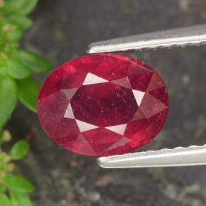 Medium-Dark Red Ruby Gem - 2ct Oval Facet (ID: 465273)