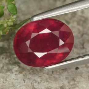 1.8ct Oval Facet Red Ruby for sale thumb image of 1.8ct Oval Facet Red Ruby (ID: 465338)