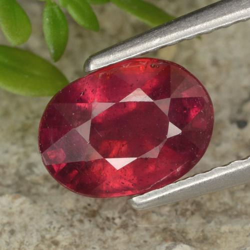 أحمر دموى ياقوت حجر كريم - 1.8ct وجه بيضاوى (ID: 465561)