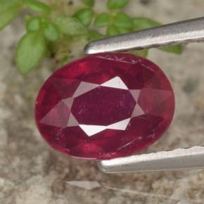 Medium Red Rubin Edelstein - 1.2ct Oval facettiert (ID: 466318)