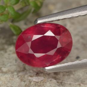 1.2ct Oval Facet Red Ruby Gem for sale 1.2ct Oval Facet Red Ruby Gem (ID: 466514)