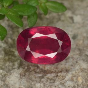 Rose rougeâtre profond Rubis gemme - 1.3ct Ovale facette (ID: 466529)