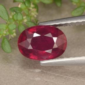 Rojo oscuro medio Rubí Gema - 1.4ct Forma ovalada (ID: 466554)