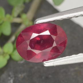 1.2ct Oval Facet Red Ruby Gem for sale 1.2ct Oval Facet Red Ruby Gem (ID: 466558)