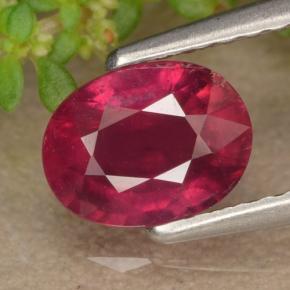 1.3ct Oval Facet Red Ruby Gem for sale 1.3ct Oval Facet Red Ruby Gem (ID: 466575)