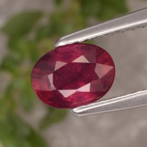 1.1ct Oval Facet Red Ruby Gem for sale 1.1ct Oval Facet Red Ruby Gem (ID: 466639)