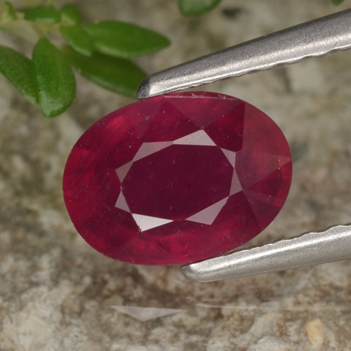 Rouge foncé Rubis gemme - 1.3ct Ovale facette (ID: 466641)