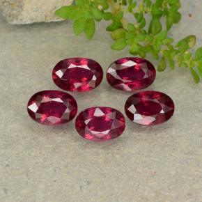 Medium-Dark Red Ruby Gem - 0.7ct Oval Facet (ID: 481955)