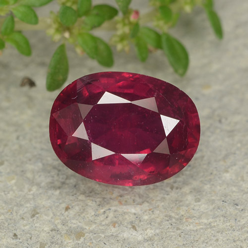 Wine Red Ruby Gem - 1.6ct Oval Facet (ID: 482901)
