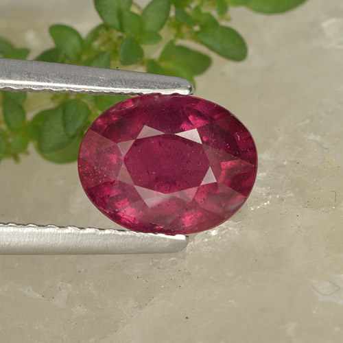 Deep Crimson Рубин Камень - 1.7ct Фасетный Овал (ID: 494713)