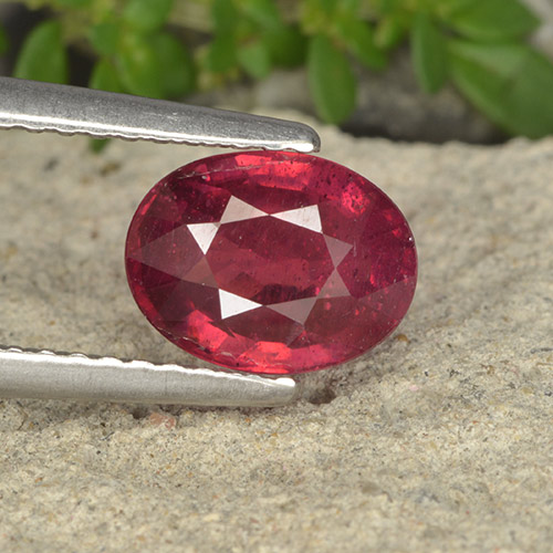 Deep Crimson Red Ruby Gem - 1.9ct Oval Facet (ID: 494725)