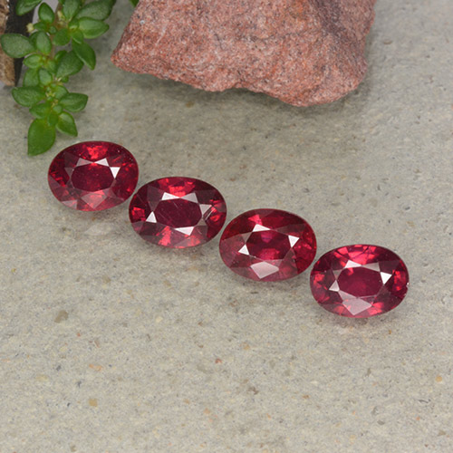 Rouge sang Rubis gemme - 1.3ct Ovale facette (ID: 495382)