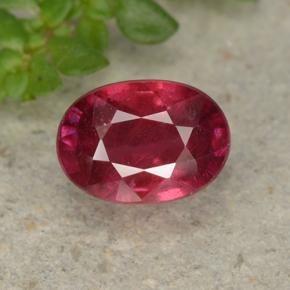 Medium-Dark Red Ruby Gem - 1.5ct Oval Facet (ID: 495505)