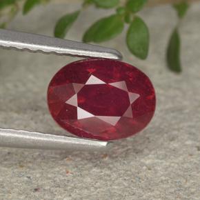 Blood Red Рубин Камень - 1.4ct Фасетный Овал (ID: 495516)