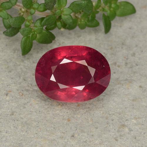 Medium Red Ruby Gem - 2.6ct Oval Facet (ID: 495825)