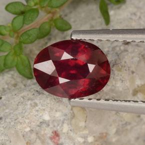 Medium Red Ruby Gem - 1.7ct Oval Facet (ID: 496275)