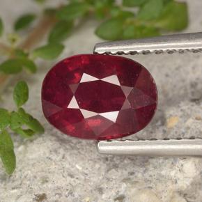 Blood Red Ruby Gem - 2ct Oval Facet (ID: 496279)