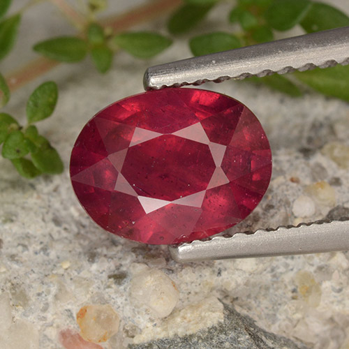Medium Red Ruby Gem - 1.7ct Oval Facet (ID: 496281)