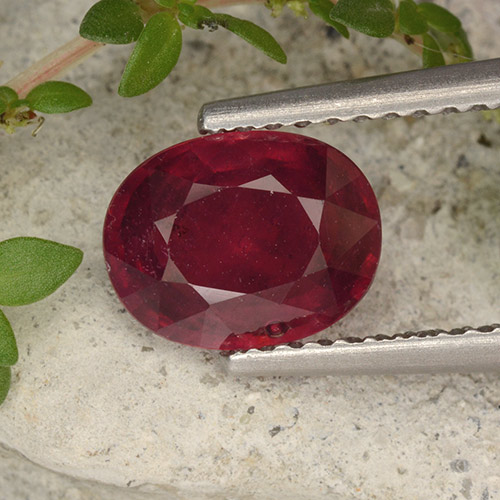 Rouge foncé Rubis gemme - 2ct Ovale facette (ID: 496305)