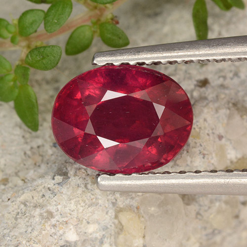 Bright Red Рубин Камень - 1.7ct Фасетный Овал (ID: 496307)