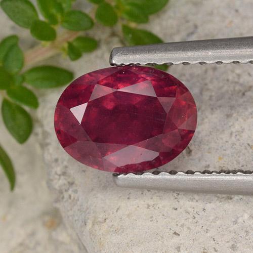Deep Red Ruby Gem - 1.5ct Oval Facet (ID: 496310)