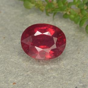 Blood Red Ruby Gem - 1.7ct Oval Facet (ID: 496378)