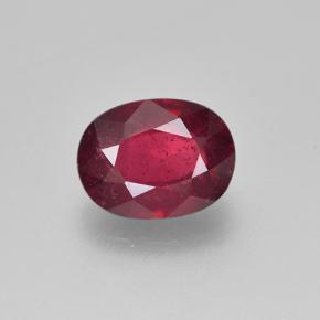 Medium-Dark Red Rubin Edelstein - 1.9ct Oval facettiert (ID: 501734)