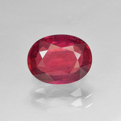 Currant Red Ruby Gem - 1.5ct Oval Facet (ID: 501958)