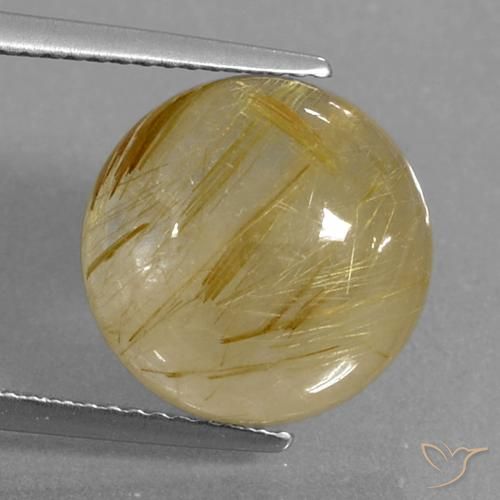 9.04ct Natural Dijon Yellow Rutile Quartz, Round, Transparent