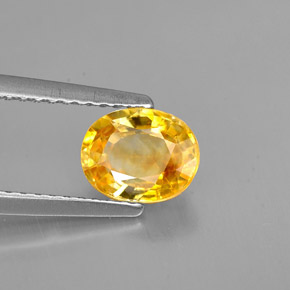 1.33 ct Yellow Sapphire Stone, Natural Sapphire in Oval Facet Shape for Sale