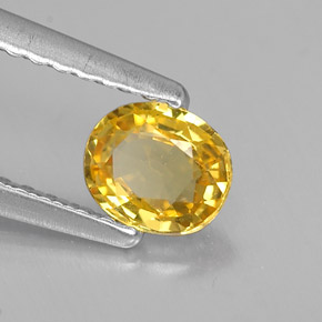 0.46 ct Yellow Sapphire Stone, Natural Sapphire in Oval Facet Shape for Sale