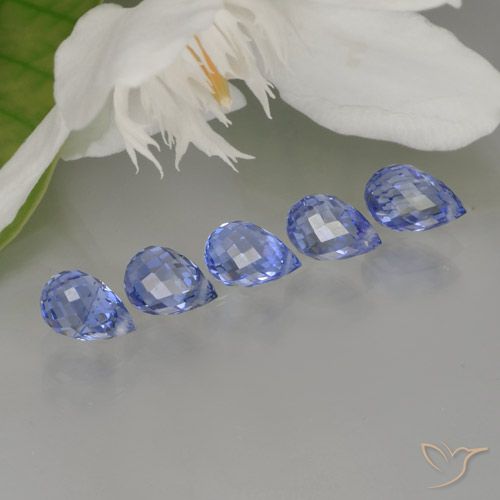 Intense Blue Sapphire Gem - 0.7ct Briolette with Hole (ID: 250914)