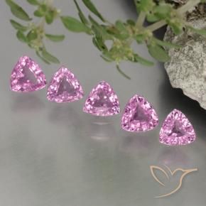 1.38 ctw Pink Sapphire Stones, Natural Sapphire in Trillion Facet Shape for Sale