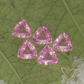 1.30 ctw Pink Sapphire Stones, Natural Sapphire in Trillion Facet Shape for Sale