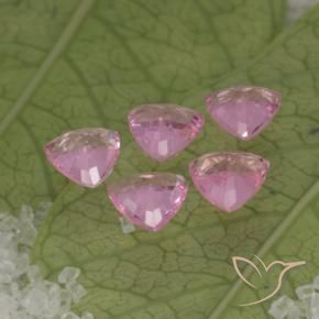 Sapphire Gemstones in 4 x 4 mm (calibrated) Size for Sale, Sapphire Stones in Bubblegum Pink Color