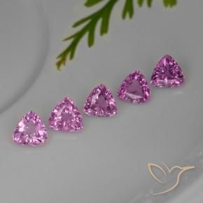 1.44 ctw Purple Sapphire Stones, Natural Sapphire in Trillion Facet Shape for Sale