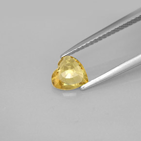 Sapphire Gemstone in 6 x 6 mm (calibrated) Size for Sale, Sapphire Stone in Yellow Golden Color