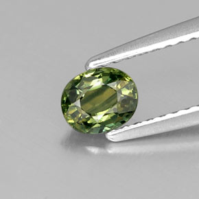 0.51 ct Green Sapphire Gemstone, Sapphire Gem in Oval Facet Shape for Sale.
